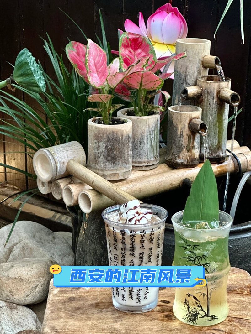 唐茶会餐饮:传统与时尚的碰撞